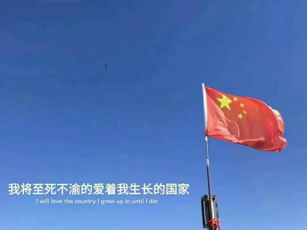 体细胞克隆北极狼迎百天,有助于哪些新研究?会带来什么问题?-一站式问答平台